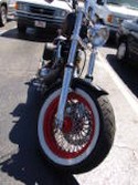 DSC02446.jpg