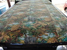 DSC07353.jpg