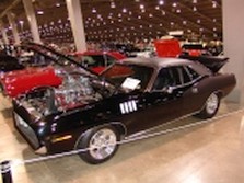 DSC06798.jpg