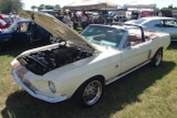 DSC02697.jpg