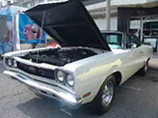 DSC01187.jpg