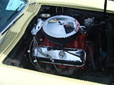 DSC01189.jpg