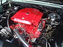 DSC01199.jpg