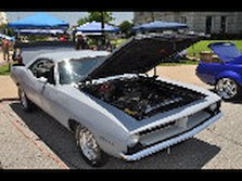 DSC_5373.jpg