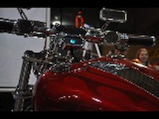 DSC_1341.jpg