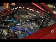 DSC_1355.jpg