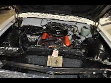 DSC_1356.jpg