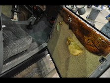 DSC_1391.jpg