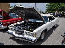 DSC_6917.jpg