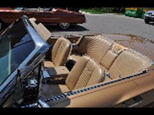 DSC_6969.jpg