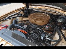 DSC_6971.jpg