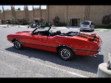 DSC_6973.jpg