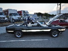 DSC_7357.jpg