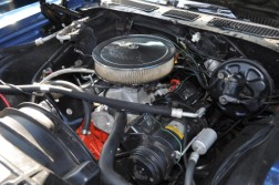 DSC_0907.jpg