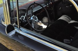 DSC_1035.jpg