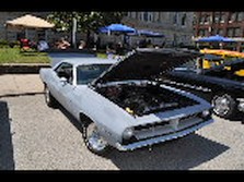 DSC_7137.jpg