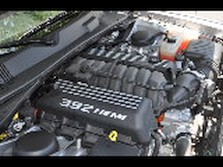DSC_7177.jpg