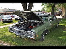 DSC_5579.jpg
