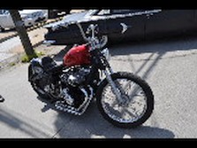 DSC_5604.jpg