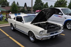 DSC_3652.jpg