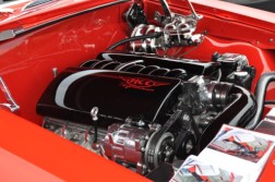 DSC_3687.jpg