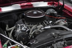 DSC_3699.jpg