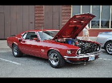 DSC_3543.jpg