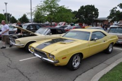 DSC_2939.jpg