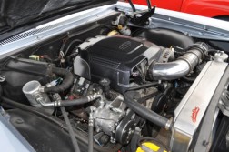 DSC_2943.jpg