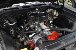 DSC_6056.jpg