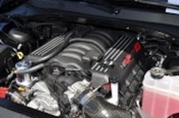 DSC_3341.jpg