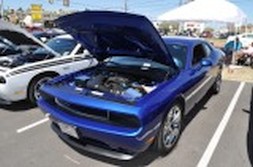 DSC_3342.jpg