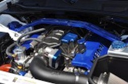 DSC_3344.jpg