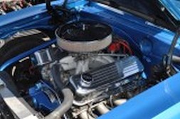 DSC_3366.jpg