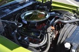 DSC_3387.jpg