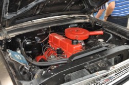 DSC_7272.jpg