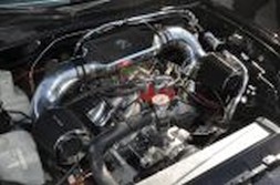 DSC_6699.jpg