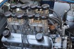 DSC_6707.jpg