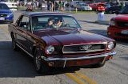 DSC_6732.jpg