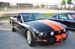 DSC_6805.jpg