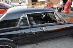 DSC_6860.jpg