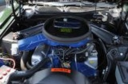 DSC_6892.jpg