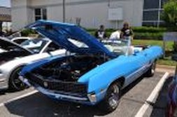 DSC_6905.jpg