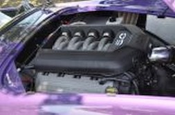 DSC_6917.jpg