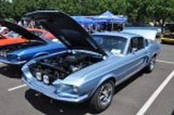 DSC_6925.jpg