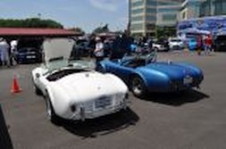 DSC_6929.jpg