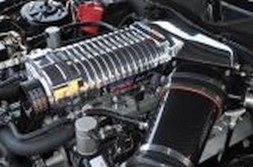 DSC_6931.jpg