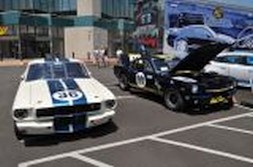 DSC_6937.jpg