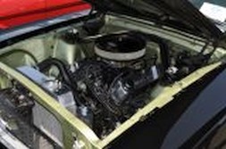 DSC_6948.jpg