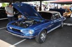 DSC_6950.jpg